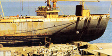 Development of East Wharf