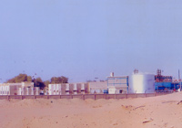 Pirkoh Gas Field Integration Project